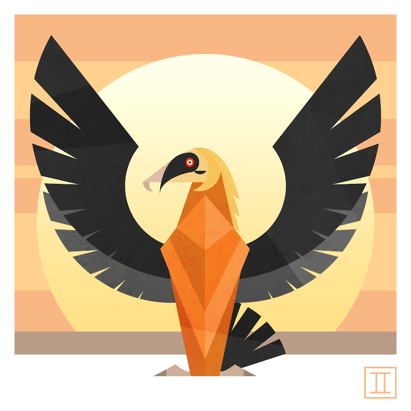 Bearded Vulture