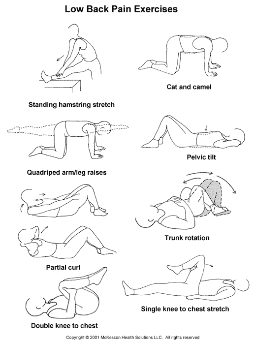 hover_share weight loss - low back pain exercises 
