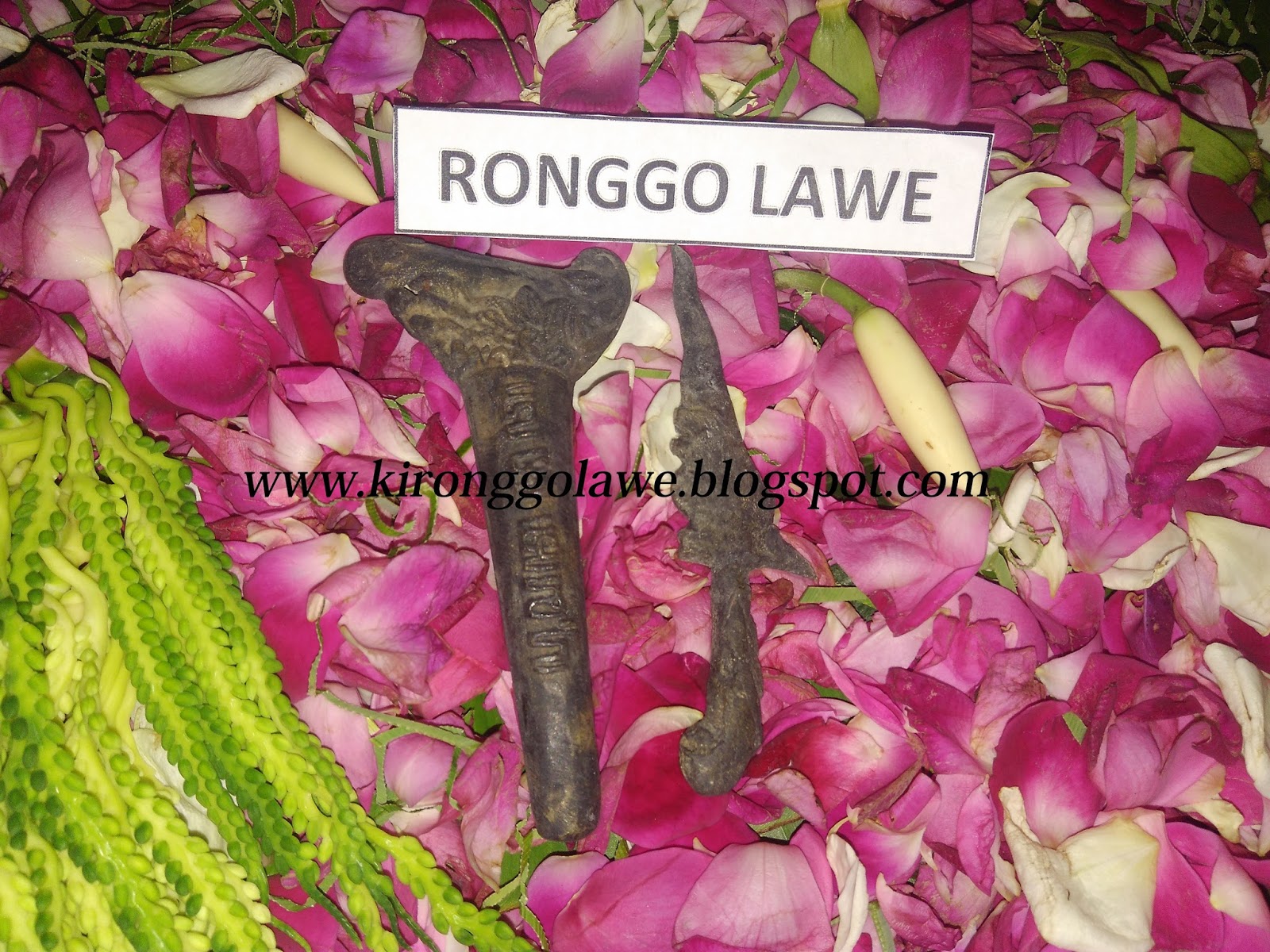 Alamat Dukun Surabaya Dukun Pelet Surabaya Paranormal