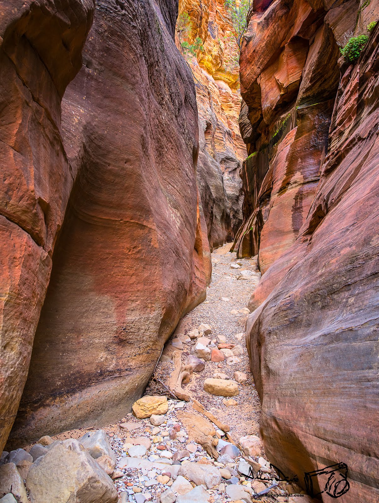 Photographer Al Zion Slot canyon