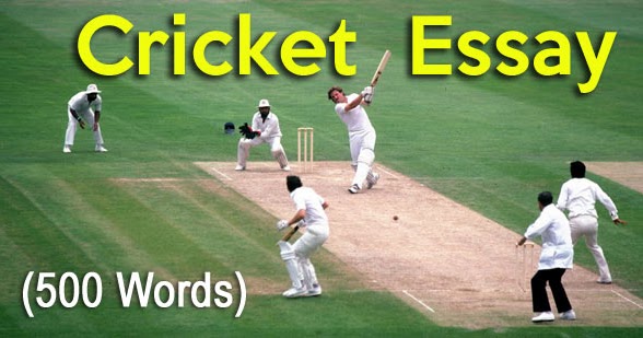 a cricket match essay 500 words