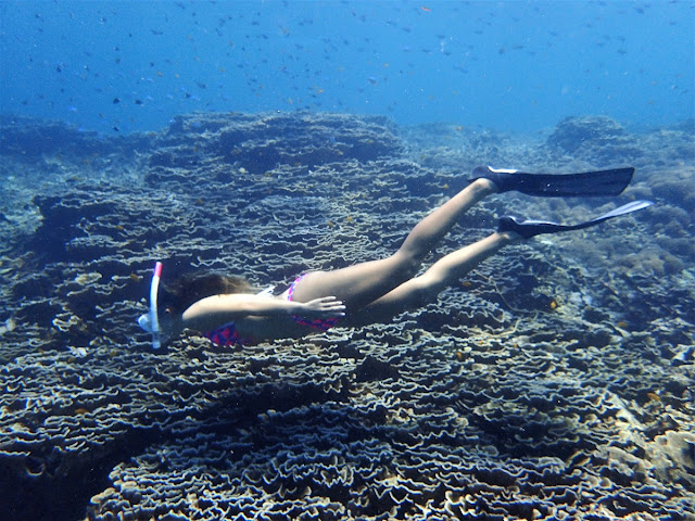 バリ島発、ギリ3島シュノーケリング専門ツアー、ポイントマップ