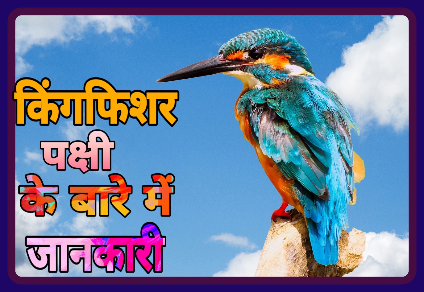 short essay on kingfisher in hindi language