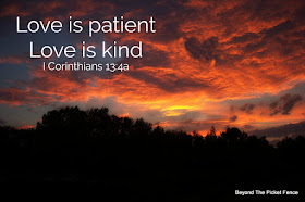 love is patient and love is kind