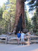 Yosemite Park Site seeing June 17, 2012 (img )