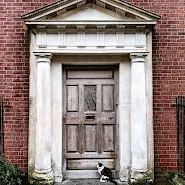 Cat in front of a Dublin door on Henrietta Street