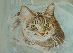 paint cats watercolor blueish bonnie took fur cast colors
