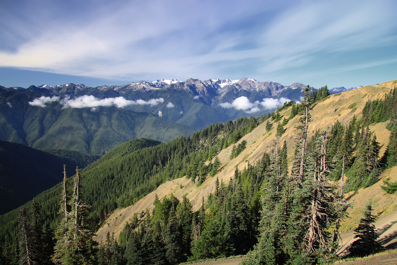 Loving Washington State: Hurricane Ridge in Olympic National Park