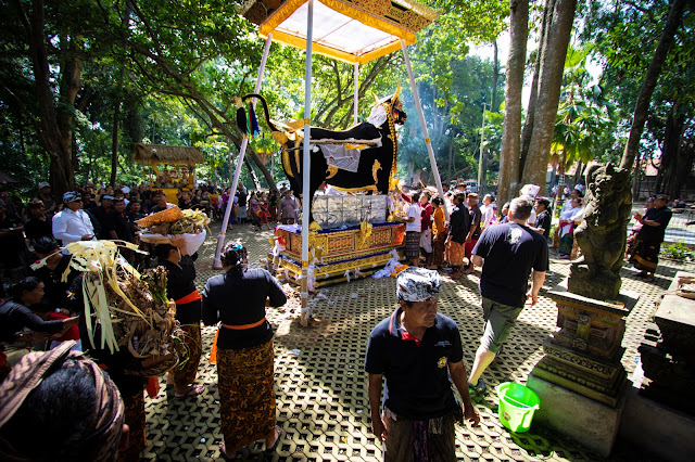 Cerimonia cremazione nella Monkey Forest, Ubud-Bali