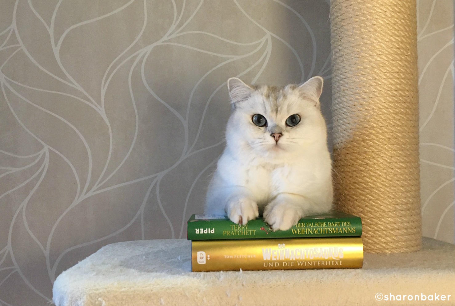 5 Regeln Fur Eine Platonische Freundschaft Ohne Drama