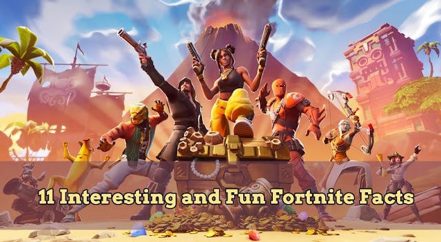 Best 11 interesting fun Fact about Fortnite Game