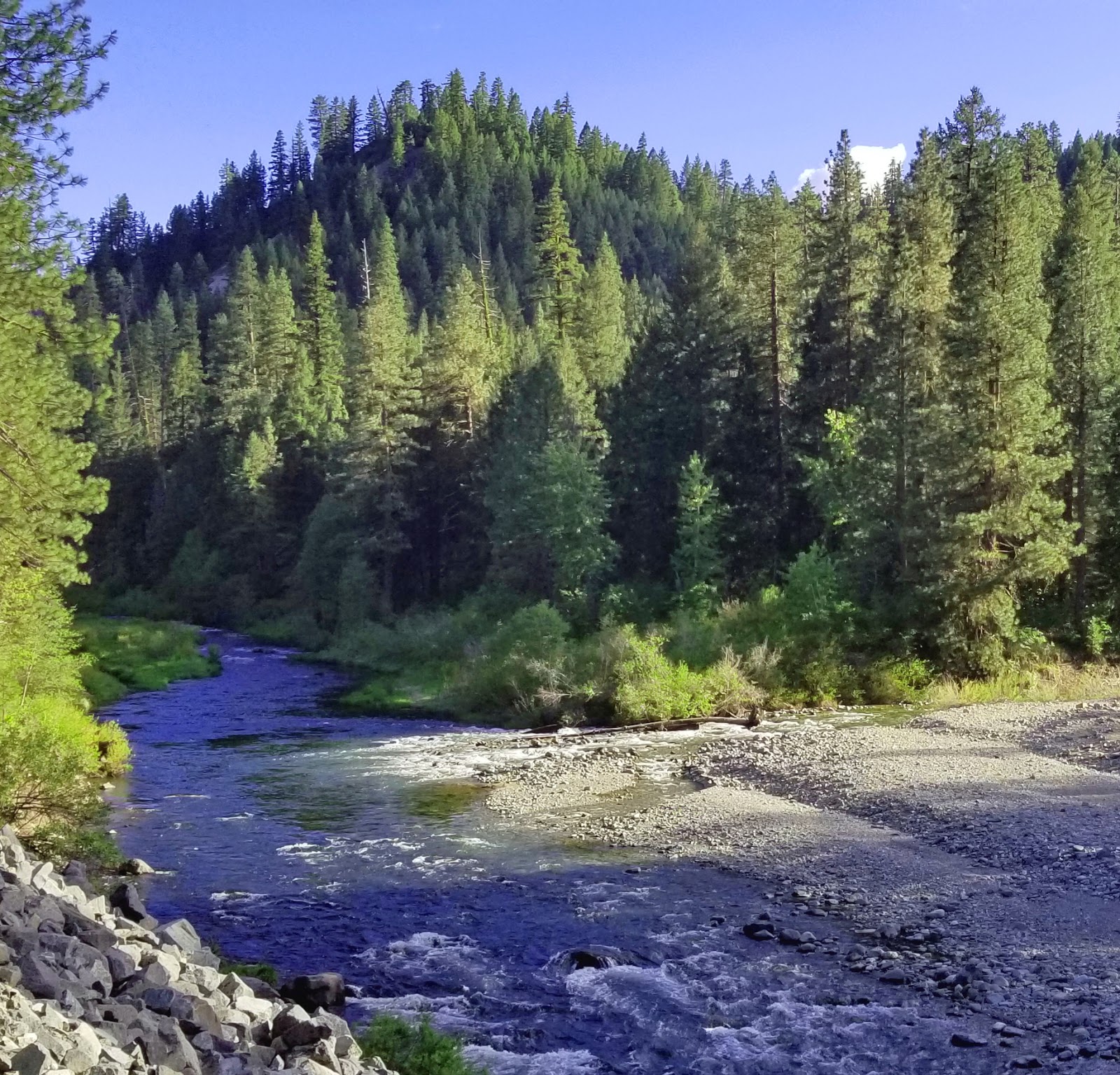Jon Baiocchi Fly Fishing News Middle Fork Feather River Fly Fishing