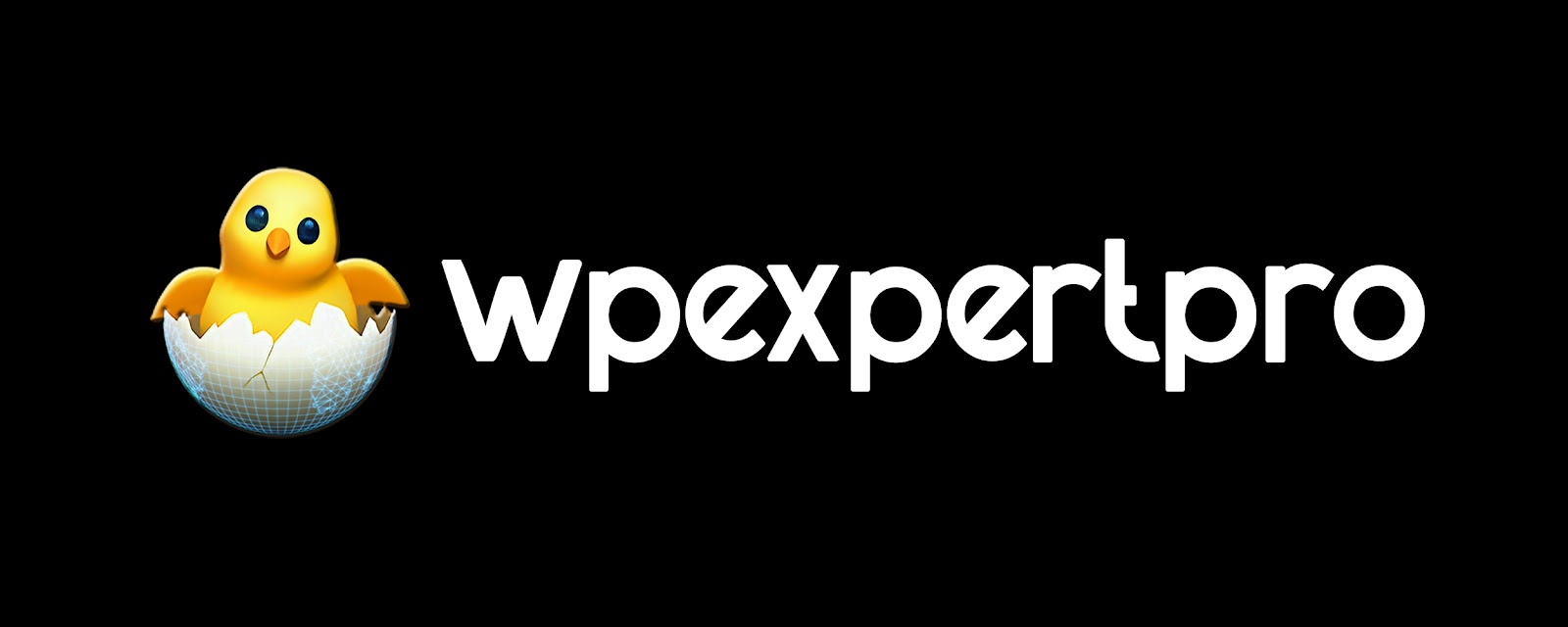 WP Expert Pro
