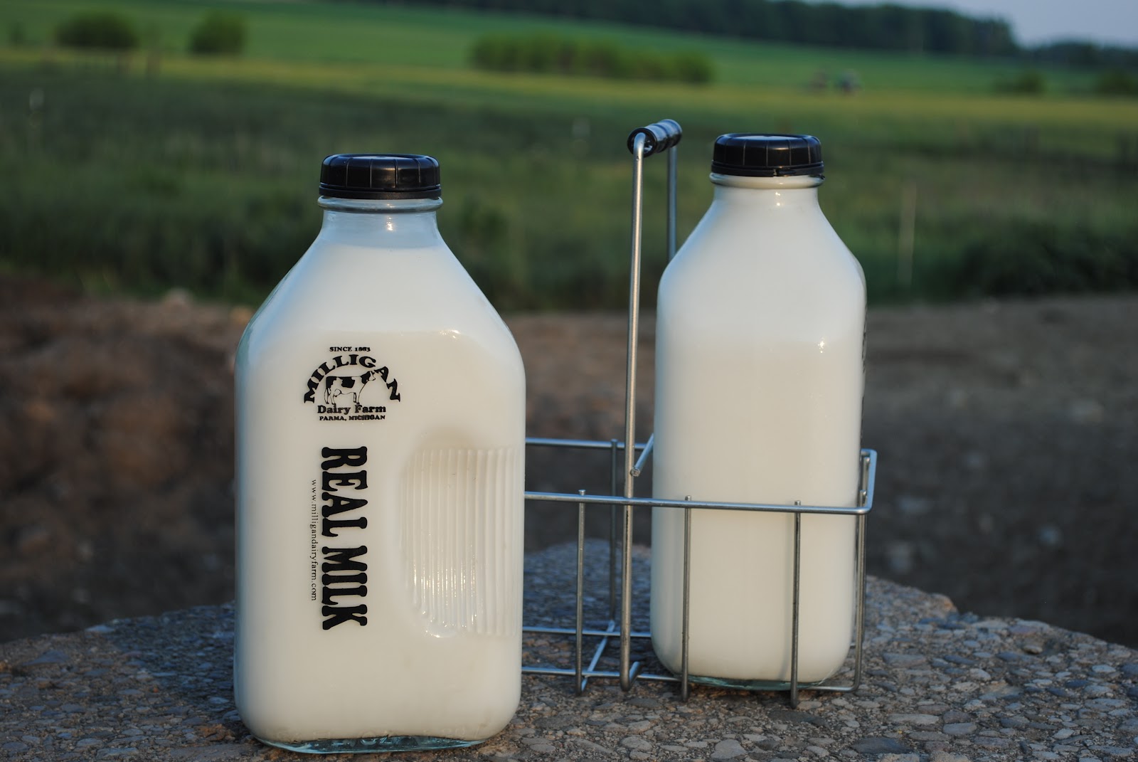 milligan-dairy-farm-milk-bottles