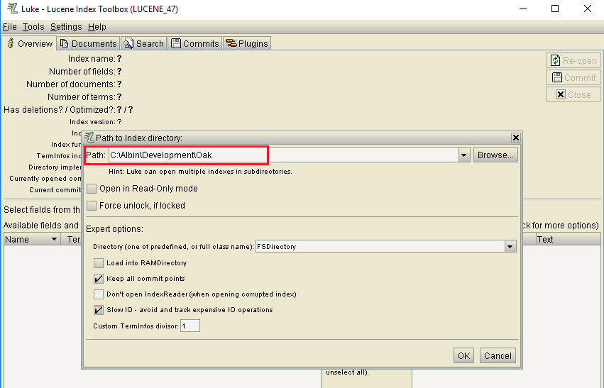 How to use Luke(Lucene Index Toolbox) to analyze Lucene Index in AEM