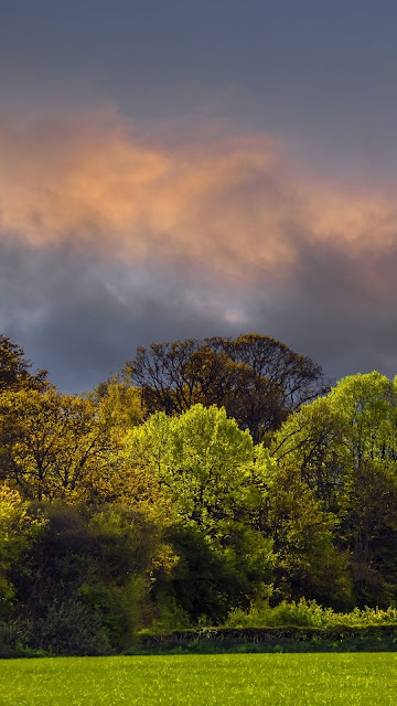 Twilight Wallpaper Clouds, Trees, Field, HD Landscape Twilight Wallpaper Clouds, Trees, Field, HD Landscape