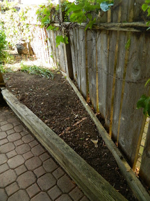 Little Italy Palmerston Toronto Back Yard Cleanup after by Paul Jung Gardening Services Little Italy Palmerston Toronto Back Yard Cleanup after by Paul Jung Gardening Services