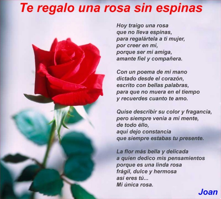 Poemas, reflexiones y pensamientos cortos en lindas imagened.