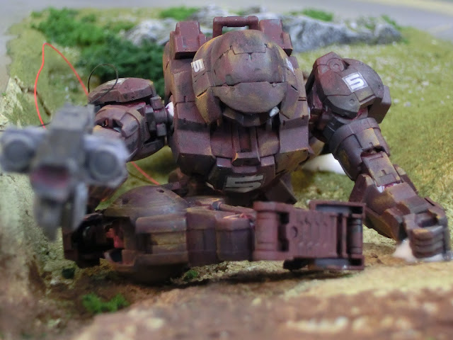 [Image: CIMG2757.JPG]