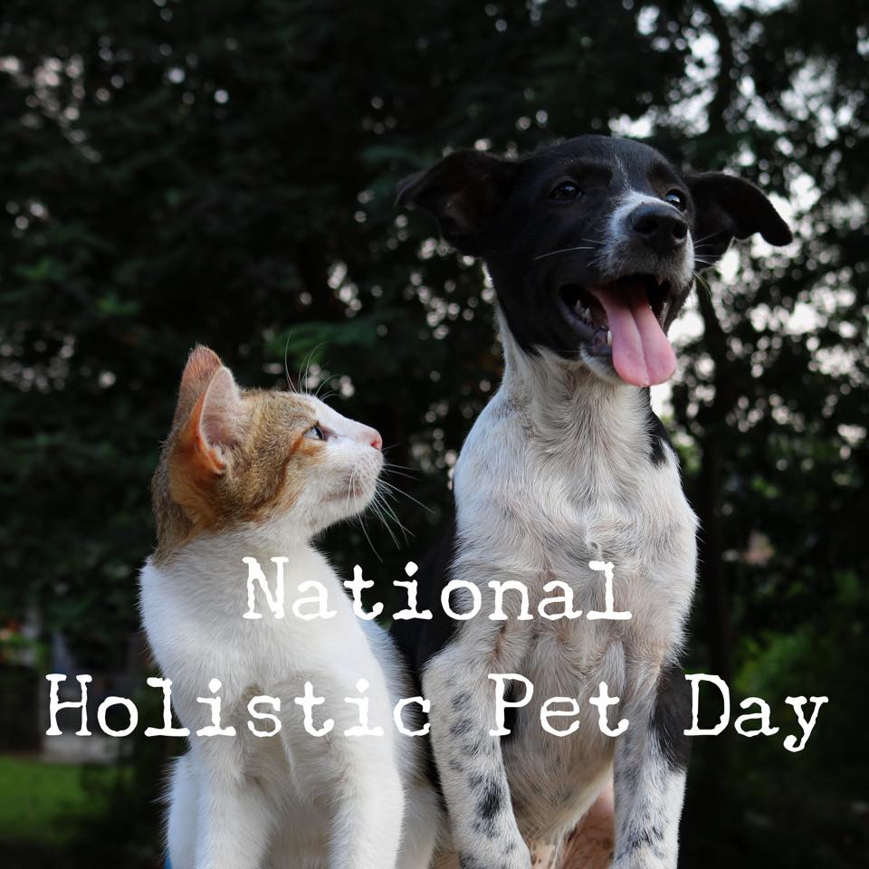 National Holistic Pet Day