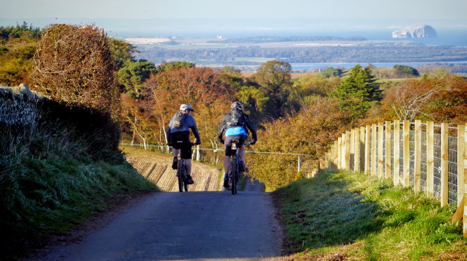 best part of the day Herring Road 25/10/14