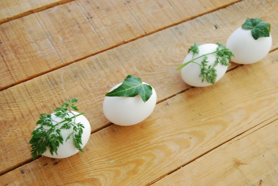 huevos de pascua teñidos con cebolla