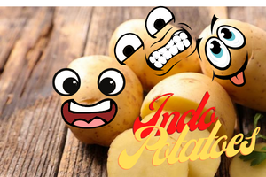 Indo Potatoes World Experience