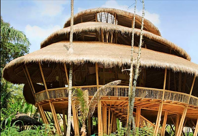 Green school bali - arsitektur bambu