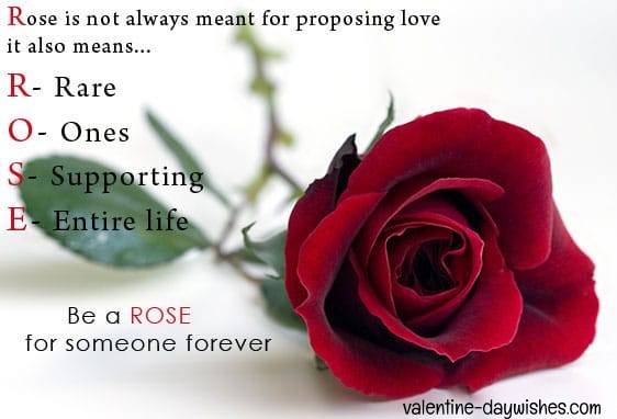 Rose day Images 2020 Rose day Images 2020