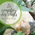 Le comptoir des chats - Bordeaux