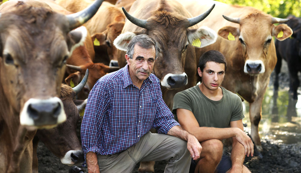 Https Encrypted Tbn0 Gstatic Com Images Q Tbn 3aand9gct6cftcqwvlqrqavzl0f5 Hkwd1uxj69adkva Usqp Cau