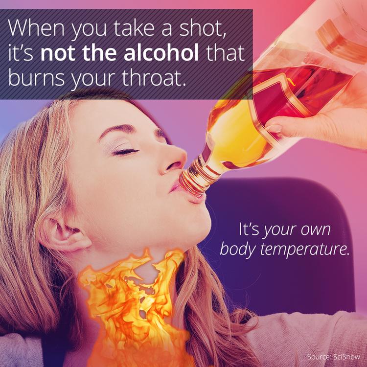 Why Does Alcohol Burn When You Drink It? from SciShow