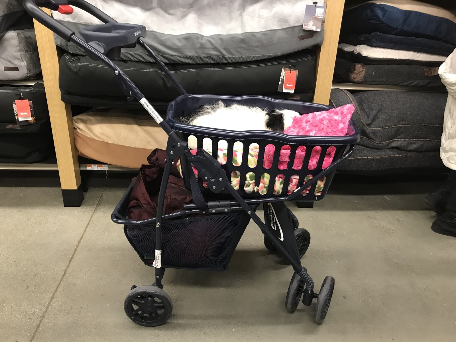 diy large dog stroller