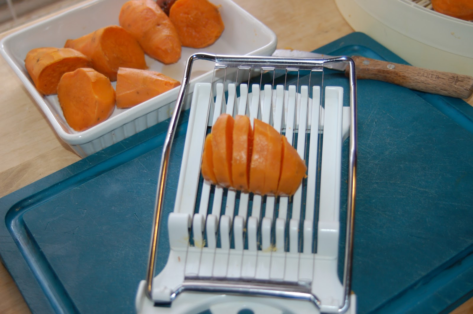 Dehydrating Way Beyond Jerky Dehydrating Leftover Sweet Potatoes
