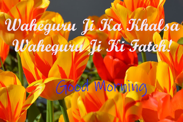 Waheguru Ji Ka Khalsa Waheguru Ji Ki Fatehi Good Morning.
