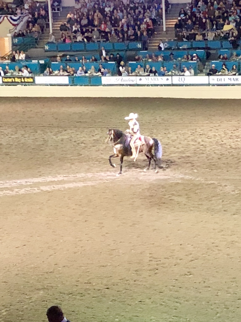 Night of the Horse, Del Mar Fairgrounds