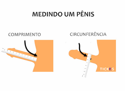 Como Medir O Pênis