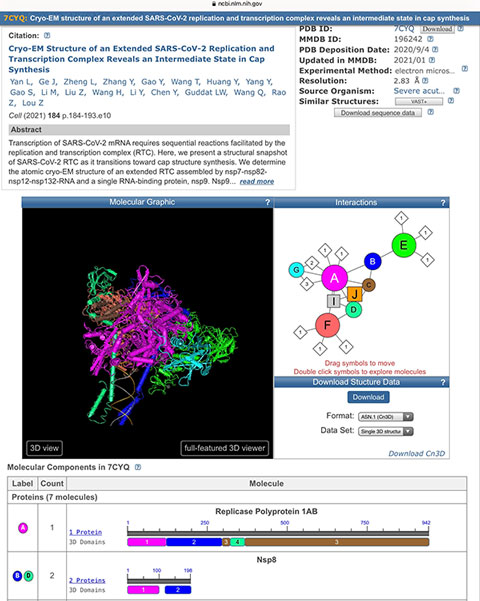 SARS-CoV-2 Protein 3-D structure identified by cryo-EM (Source: ncbi.nim.nih.gov)