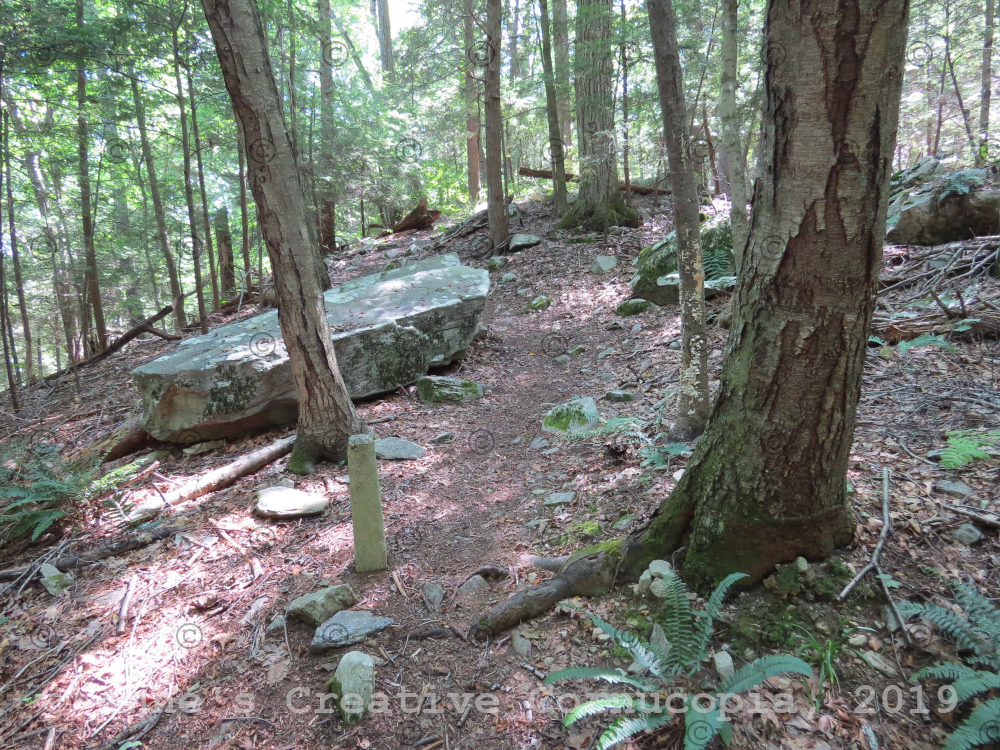 Anne's Creative Cornucopia Trout Brook Valley Preserve / Be Bear Aware