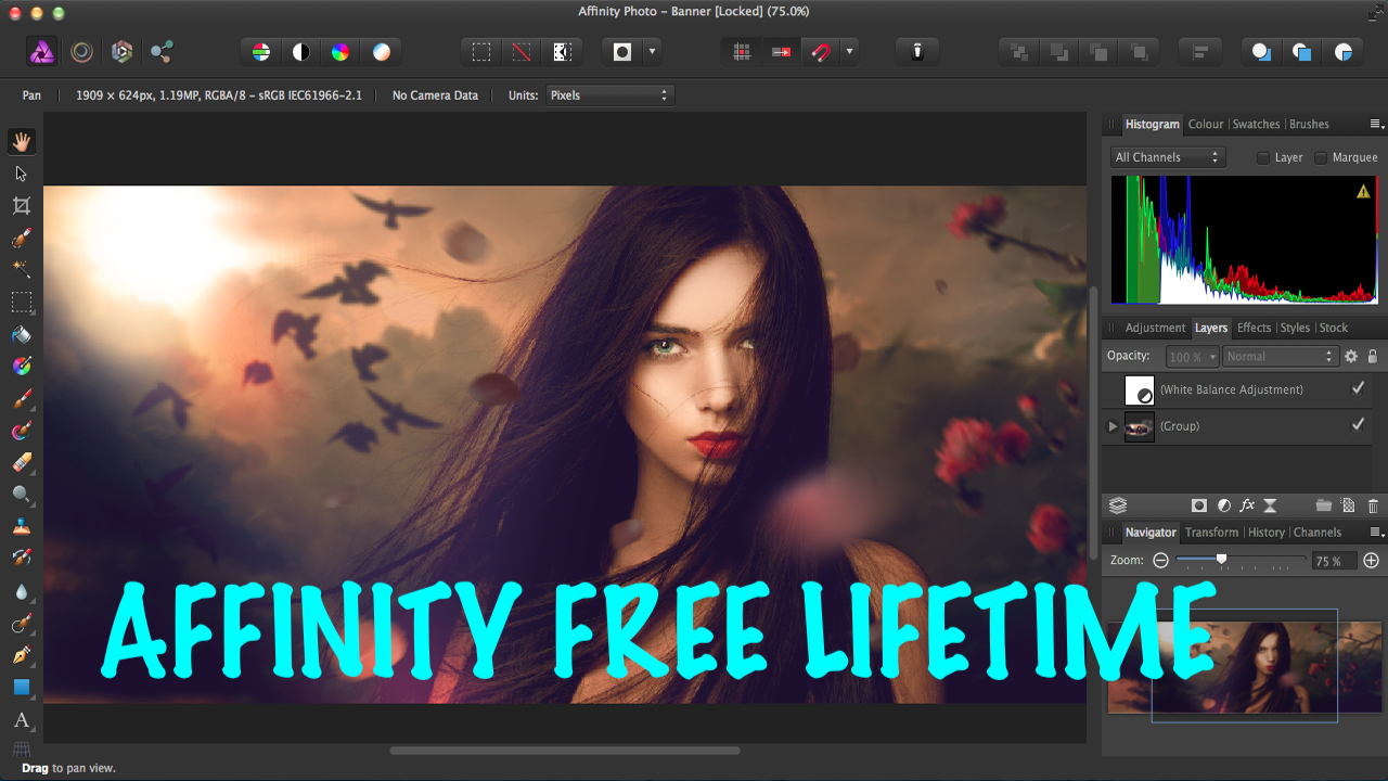 affinity photo for mac download free