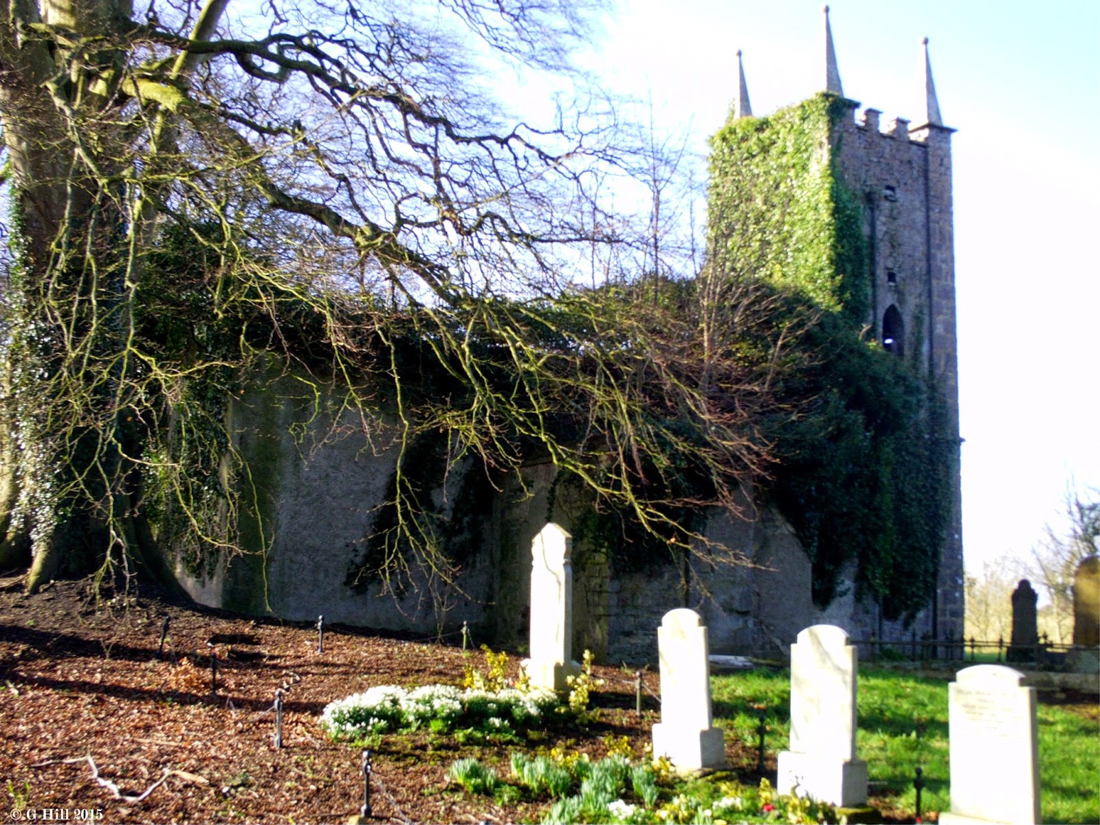 Ireland In Ruins St Marys Church Oldtown Co Dublin