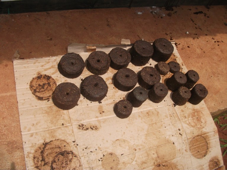 Molasses Indonesia Cara Membuat Mineral Block ( UMB ) Untuk Ternak