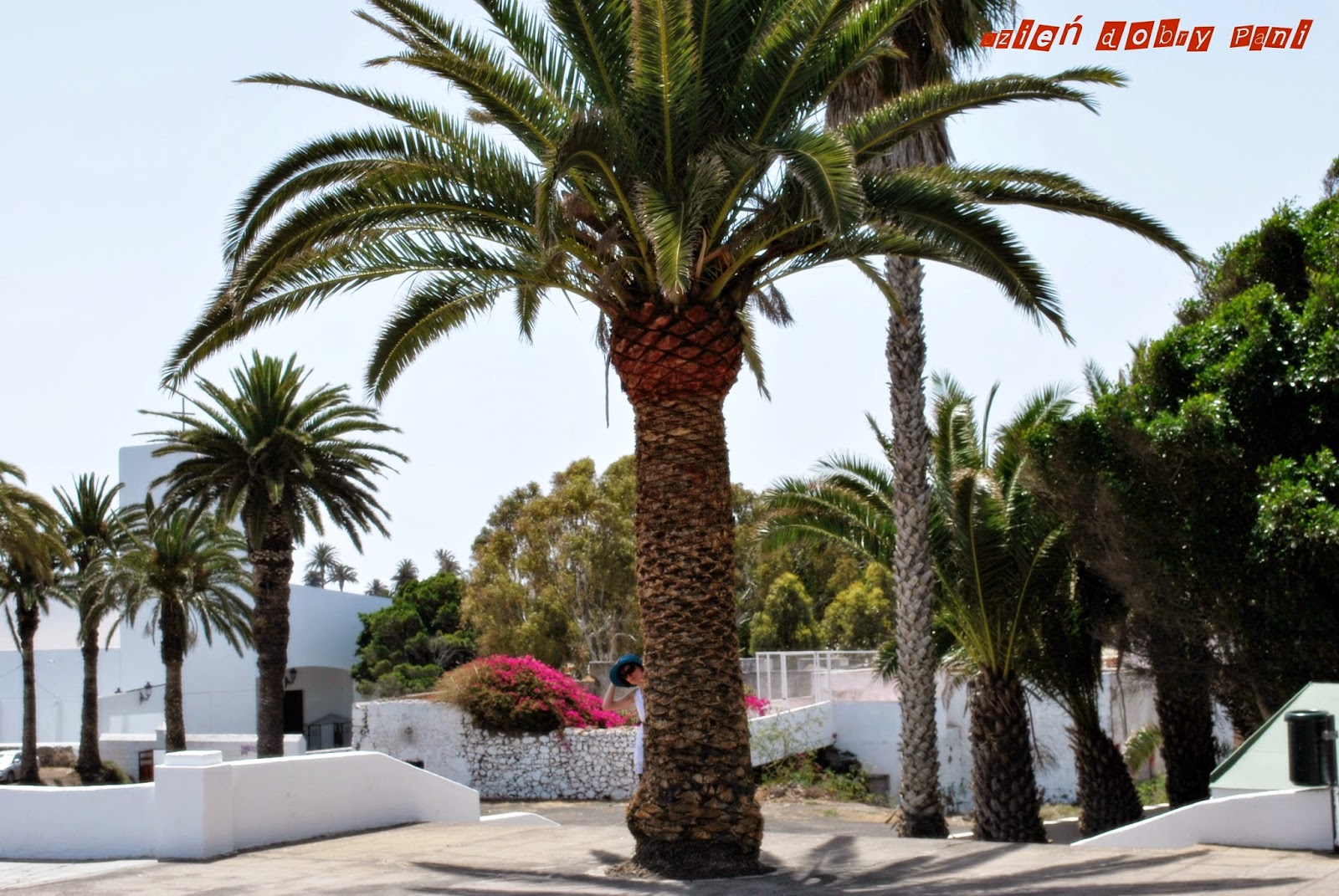 Dzień Dobry Pani - życie aktywne ale nie pospieszne: Paszport czy dowód