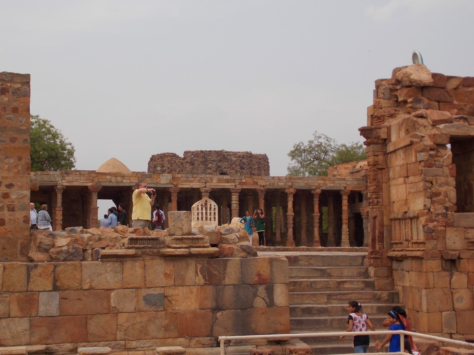 chinar-shade-qutub-minar-of-india