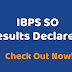 IBPS Specialist Officer Exam Mains Result 2020 declared at ibps.in