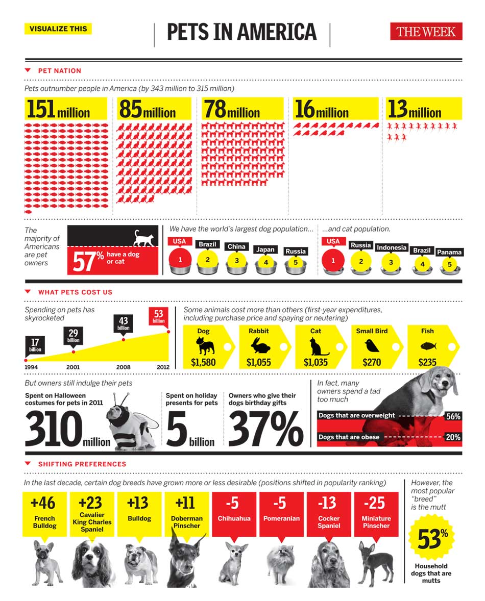 Pawsible Marketing Blog Pets in America {infographic}