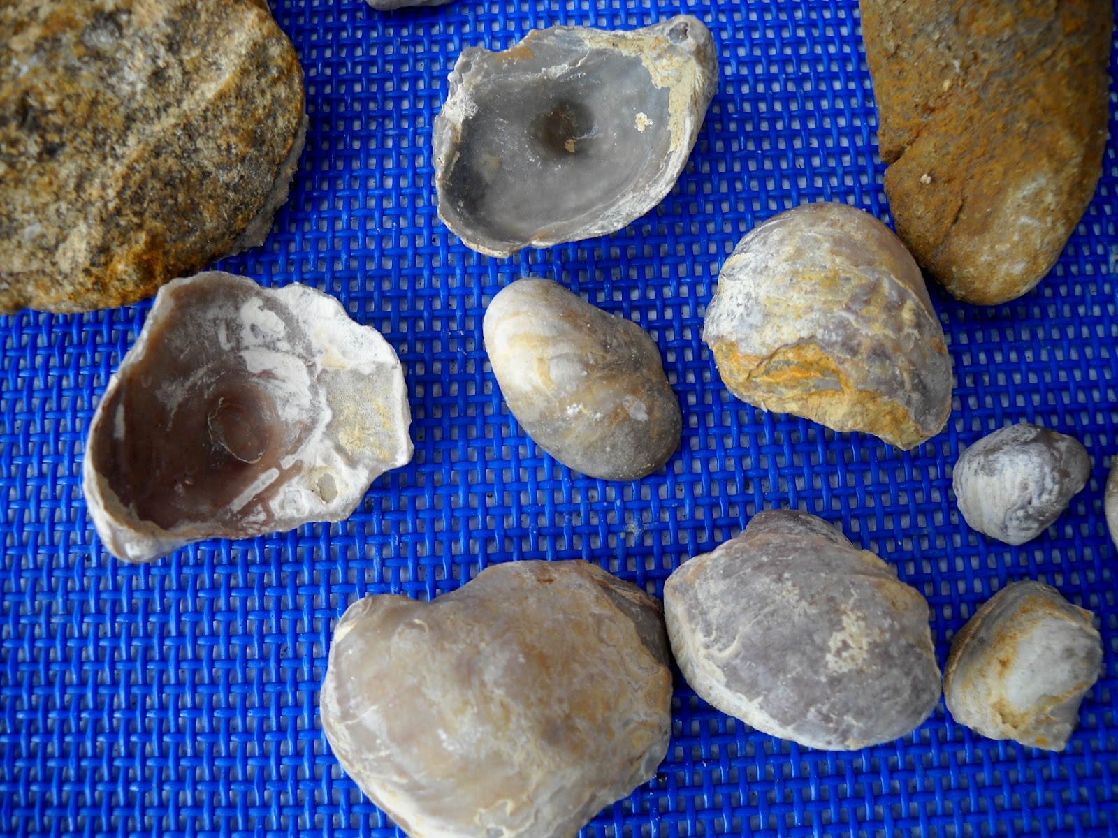 White Rock Lake, Dallas, Texas White Rock Lake in Dallas Was Once an