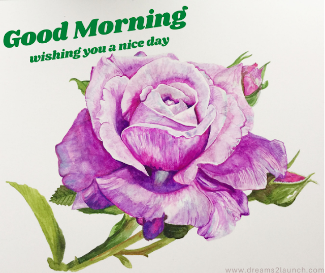 good morning rose images download