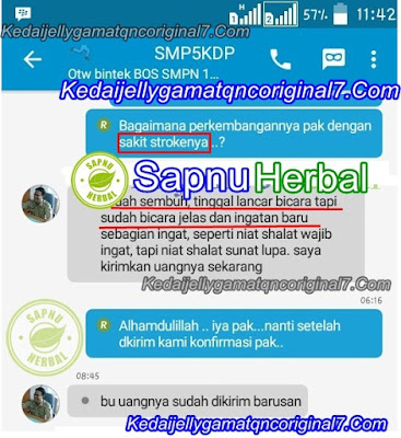 Penyebab Stroke & Obat Stroke Alami, Ampuh dan Aman Penyebab Stroke & Obat Stroke Alami, Ampuh dan Aman