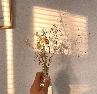 Gambar PP WA Aesthetic Keren Terbaru